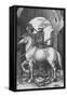'The Small Horse', 1505, (1906)-Albrecht Durer-Framed Stretched Canvas
