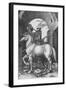 'The Small Horse', 1505, (1906)-Albrecht Durer-Framed Giclee Print