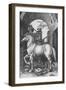 'The Small Horse', 1505, (1906)-Albrecht Durer-Framed Giclee Print