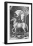 'The Small Horse', 1505, (1906)-Albrecht Durer-Framed Giclee Print