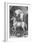 'The Small Horse', 1505, (1906)-Albrecht Durer-Framed Giclee Print