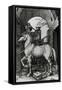 The Small Horse, 1505 (Engraving)-Albrecht Dürer-Framed Stretched Canvas