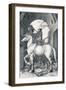 The Small Horse, 1505-Albrecht Dürer-Framed Giclee Print