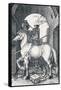 The Small Horse, 1505-Albrecht Dürer-Framed Stretched Canvas