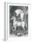 The Small Horse, 1505-Albrecht Dürer-Framed Premium Giclee Print