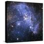 The Small Magellanic Cloud-Stocktrek Images-Stretched Canvas