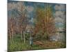 'The Small Meadows in Spring', c1880-1-Alfred Sisley-Mounted Premium Giclee Print