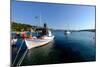 The Small Port and Beach of Posidonio, Samos Island, North Aegean Islands, Greek Islands, Greece-Carlo Morucchio-Mounted Photographic Print