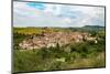 The Small Unspoilt Town of Torres Del Rio, Navarra, Spain, Europe-Martin Child-Mounted Photographic Print