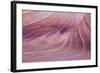 The Small Wave 2-Moises Levy-Framed Photographic Print