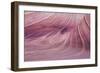 The Small Wave 2-Moises Levy-Framed Photographic Print