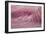 The Small Wave 2-Moises Levy-Framed Photographic Print