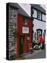 The Smallest House in Britain, on the Quayside at Conwy-Nigel Blythe-Stretched Canvas
