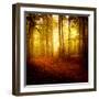 The Smell of Autumn-Philippe Sainte-Laudy-Framed Premium Photographic Print