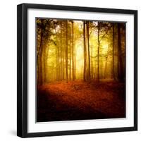 The Smell of Autumn-Philippe Sainte-Laudy-Framed Premium Photographic Print