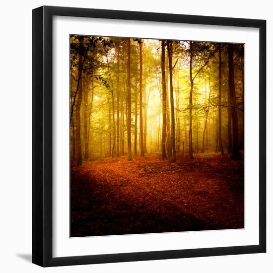 The Smell of Autumn-Philippe Sainte-Laudy-Framed Premium Photographic Print