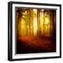 The Smell of Autumn-Philippe Sainte-Laudy-Framed Premium Photographic Print