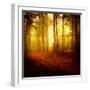 The Smell of Autumn-Philippe Sainte-Laudy-Framed Premium Photographic Print