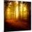 The Smell of Autumn-Philippe Sainte-Laudy-Mounted Premium Photographic Print