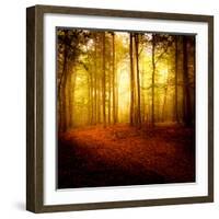 The Smell of Autumn-Philippe Sainte-Laudy-Framed Photographic Print