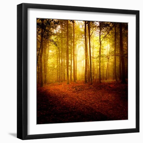 The Smell of Autumn-Philippe Sainte-Laudy-Framed Photographic Print