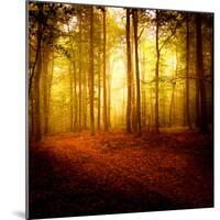 The Smell of Autumn-Philippe Sainte-Laudy-Mounted Photographic Print