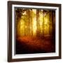 The Smell of Autumn-Philippe Sainte-Laudy-Framed Photographic Print