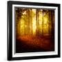 The Smell of Autumn-Philippe Sainte-Laudy-Framed Photographic Print