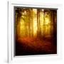 The Smell of Autumn-Philippe Sainte-Laudy-Framed Photographic Print