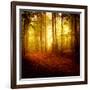 The Smell of Autumn-Philippe Sainte-Laudy-Framed Photographic Print
