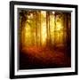 The Smell of Autumn-Philippe Sainte-Laudy-Framed Photographic Print