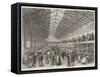 The Smithfield Club Cattle Show, 1851, General View-null-Framed Stretched Canvas