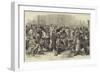 The Smithfield Club Cattle Show at the Agricultural Hall, Islington-null-Framed Giclee Print