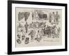 The Smithfield Club Cattle Show at the Agricultural Hall-Alfred Chantrey Corbould-Framed Giclee Print