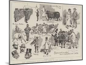 The Smithfield Club Cattle Show at the Agricultural Hall-Alfred Chantrey Corbould-Mounted Giclee Print