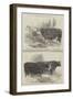 The Smithfield Club Cattle Show, Prize Cattle-Harrison William Weir-Framed Giclee Print