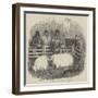 The Smithfield Club Cattle Show-null-Framed Giclee Print