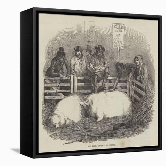 The Smithfield Club Cattle Show-null-Framed Stretched Canvas