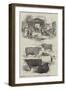 The Smithfield Club Cattle Show-null-Framed Giclee Print