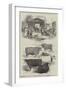 The Smithfield Club Cattle Show-null-Framed Giclee Print