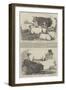 The Smithfield Club Prize Cattle-Show-Harrison William Weir-Framed Giclee Print