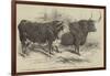 The Smithfield Club Prize Cattle Show-Harrison William Weir-Framed Giclee Print