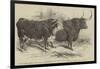 The Smithfield Club Prize Cattle Show-Harrison William Weir-Framed Giclee Print