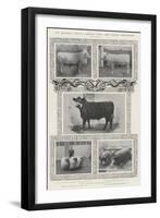 The Smithfield Society's Christmas Show, Some Notable Prize-Winners-null-Framed Giclee Print