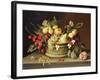 The Snail and the Pomegranate-Brian Irving-Framed Giclee Print