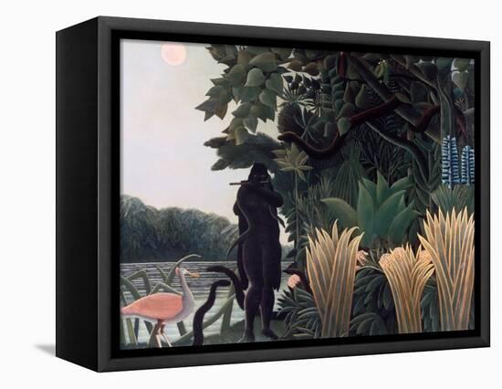 The Snake Charmer, 1907-Henri Rousseau-Framed Stretched Canvas