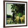 The Snake Charmer-Henri Rousseau-Framed Giclee Print