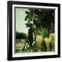 The Snake Charmer-Henri Rousseau-Framed Giclee Print