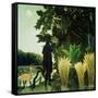 The Snake Charmer-Henri Rousseau-Framed Stretched Canvas