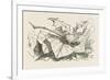 The Snap-Dragon-Fly-John Tenniel-Framed Premium Giclee Print